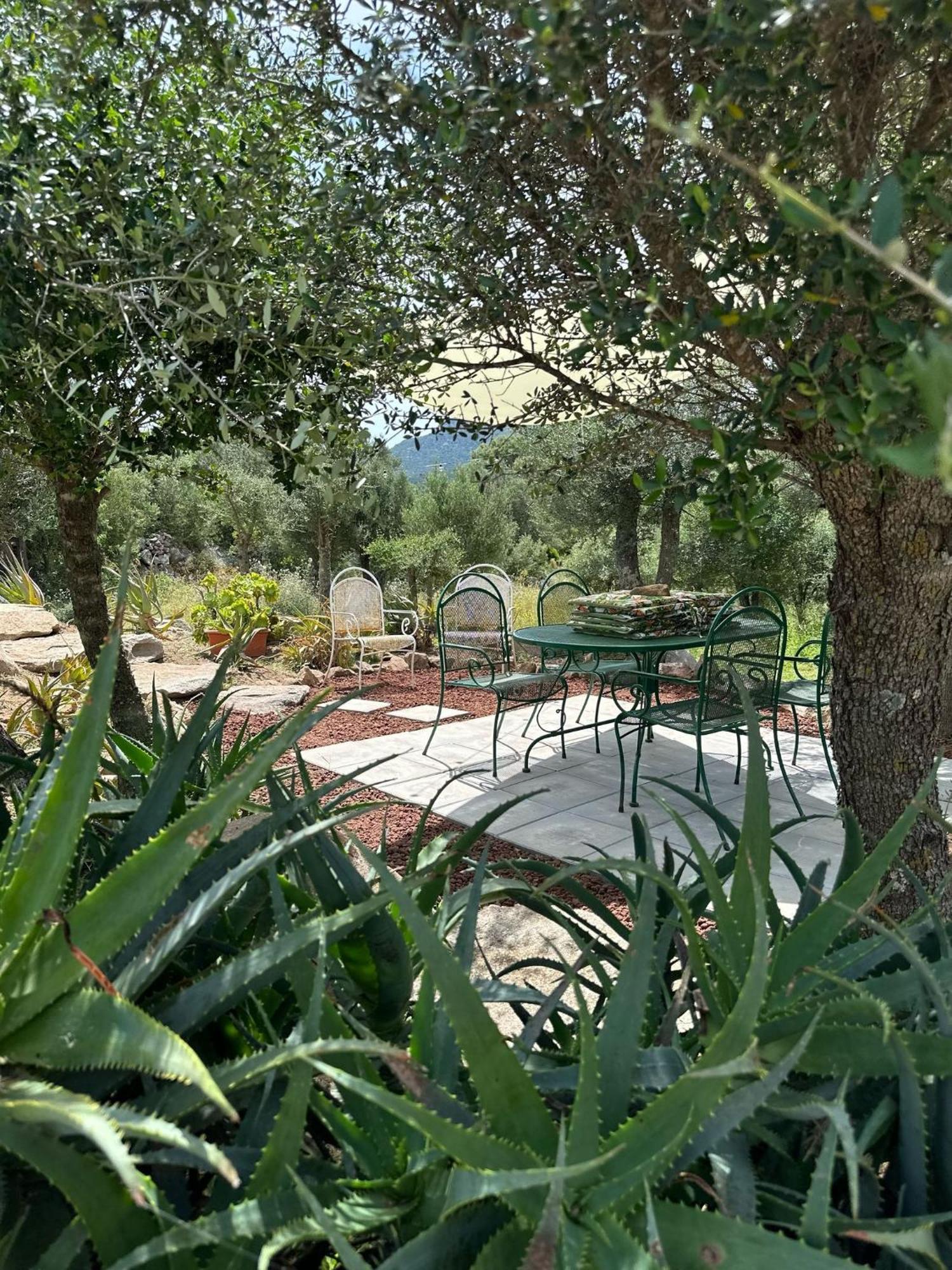 Villa Casa Mariposa Porto Rotondo Rudalza Exterior foto
